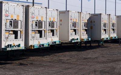 Norfolk Refrigerated Drayage: Safe and Reliable Reefer Transport
